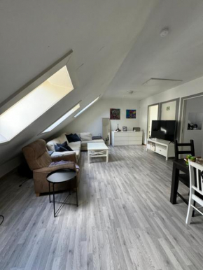 Spacious and central apartment I 250m from Bryggen